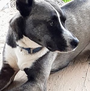 Meet your Posher, Larry